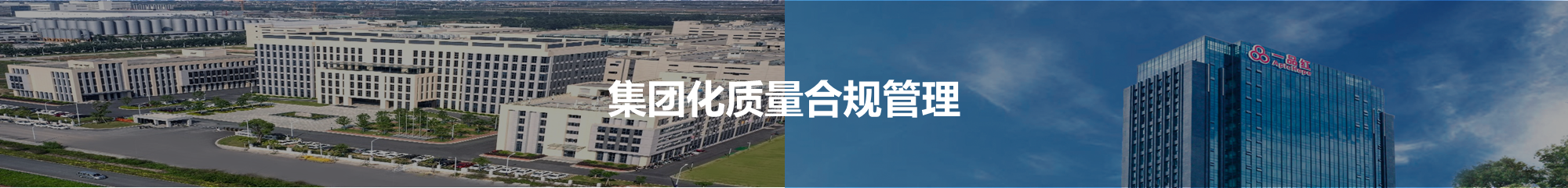 集团化质量管理